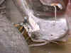 dannert_03_20.jpg (42335 Byte)