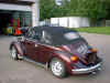 DSCF0176.jpg (71185 Byte)
